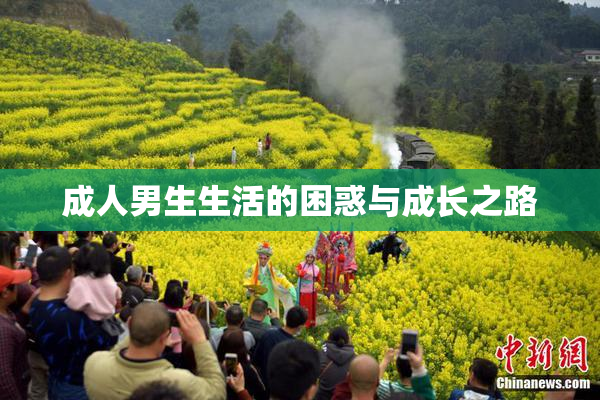成人男生生活的困惑与成长之路