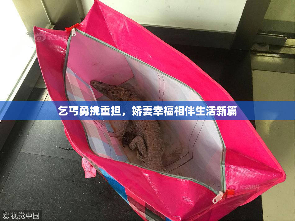 乞丐勇挑重担，娇妻幸福相伴生活新篇