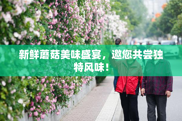 新鲜蘑菇美味盛宴，邀您共尝独特风味！
