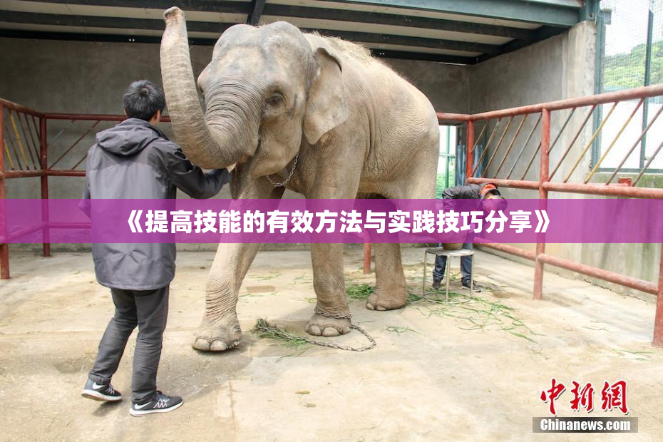 《提高技能的有效方法与实践技巧分享》