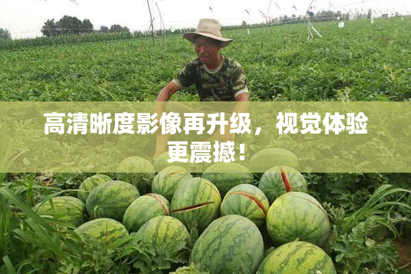 高清晰度影像再升级，视觉体验更震撼！