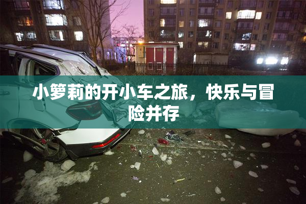 小箩莉的开小车之旅，快乐与冒险并存