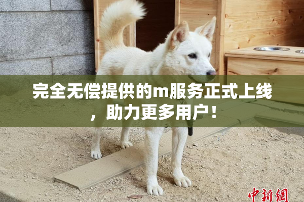 完全无偿提供的m服务正式上线，助力更多用户！