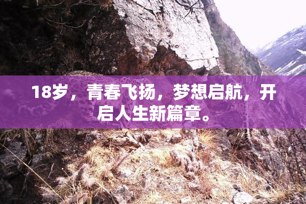18岁，青春飞扬，梦想启航，开启人生新篇章。