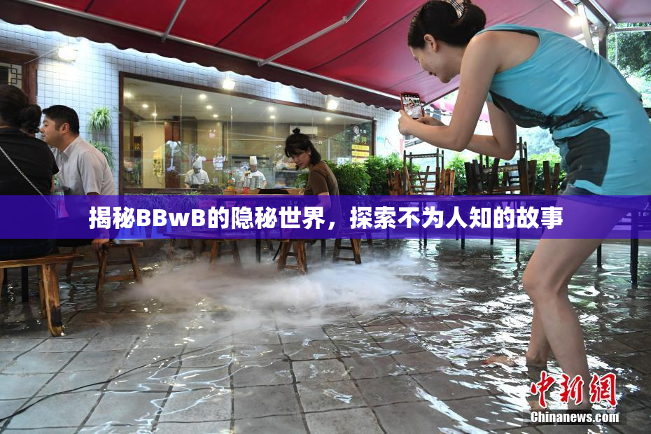 揭秘BBwB的隐秘世界，探索不为人知的故事