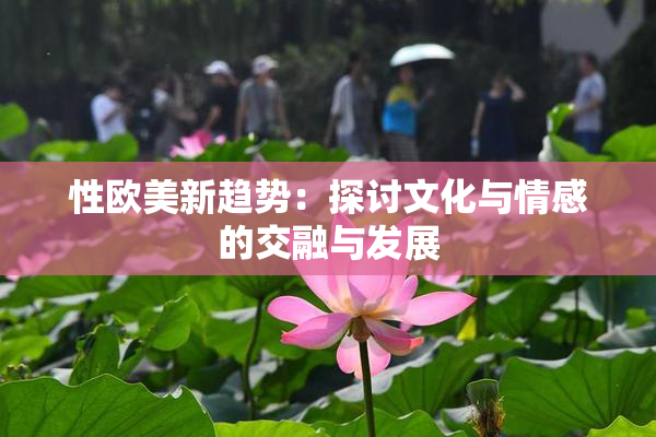 性欧美新趋势：探讨文化与情感的交融与发展