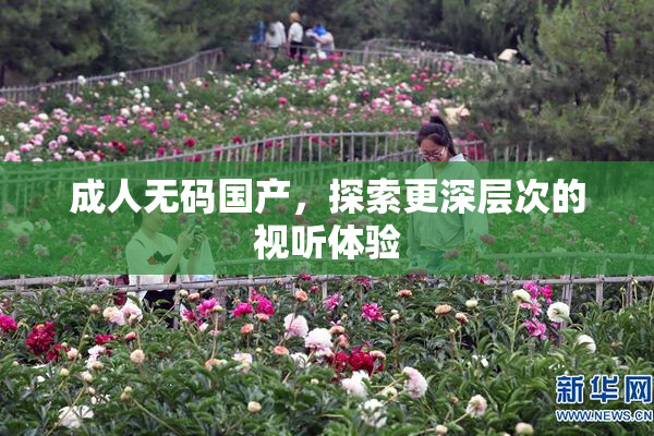 成人无码国产，探索更深层次的视听体验