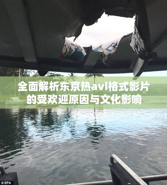 全面解析东京热avi格式影片的受欢迎原因与文化影响