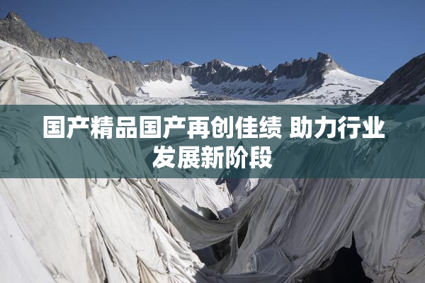 国产精品国产再创佳绩 助力行业发展新阶段