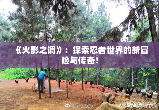 《火影之调》：探索忍者世界的新冒险与传奇！