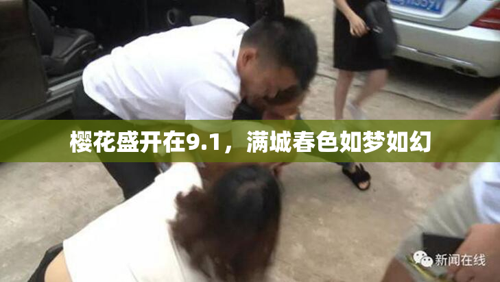樱花盛开在9.1，满城春色如梦如幻