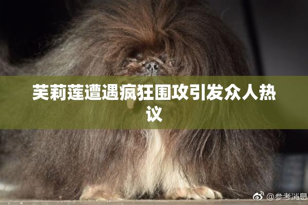 芙莉莲遭遇疯狂围攻引发众人热议