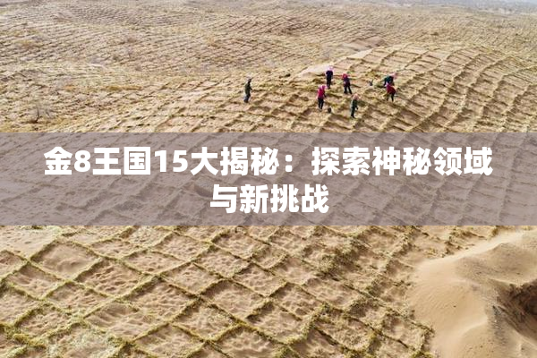 金8王国15大揭秘：探索神秘领域与新挑战