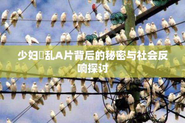 少妇婬乱A片背后的秘密与社会反响探讨
