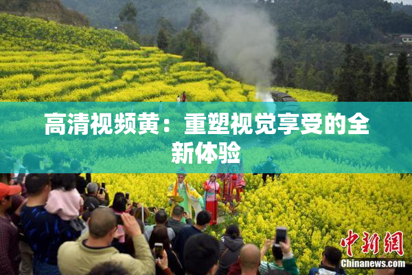 高清视频黄：重塑视觉享受的全新体验
