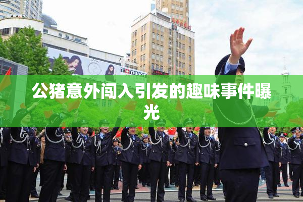 公猪意外闯入引发的趣味事件曝光