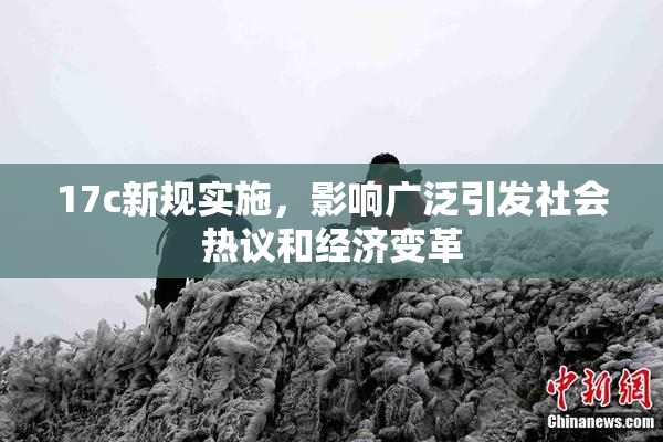 17c新规实施，影响广泛引发社会热议和经济变革