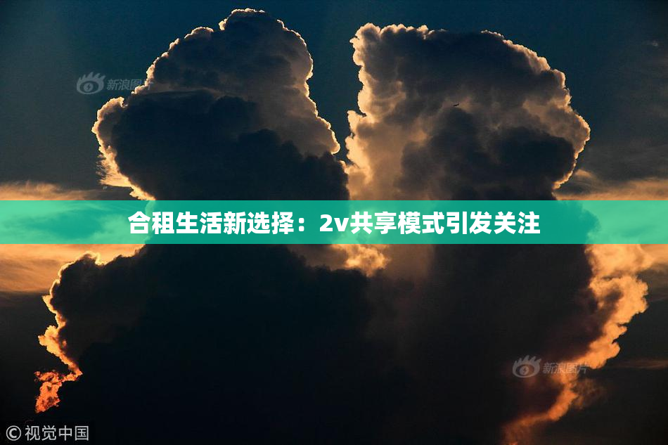 合租生活新选择：2v共享模式引发关注