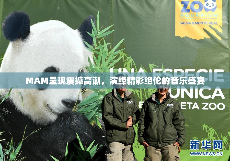 MAM呈现震撼高潮，演绎精彩绝伦的音乐盛宴