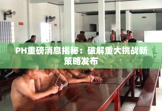 PH重磅消息揭秘：破解重大挑战新策略发布