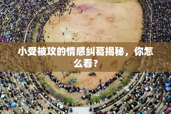 小受被攻的情感纠葛揭秘，你怎么看？