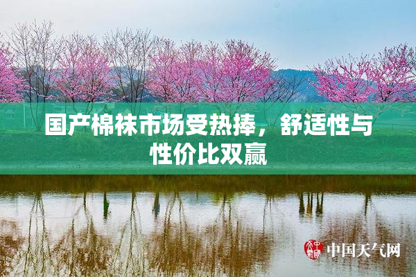 国产棉袜市场受热捧，舒适性与性价比双赢