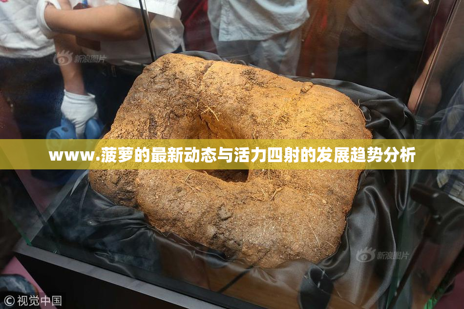 www.菠萝的最新动态与活力四射的发展趋势分析