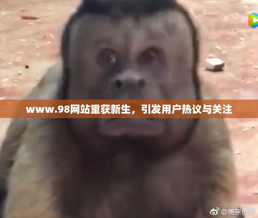 www.98网站重获新生，引发用户热议与关注