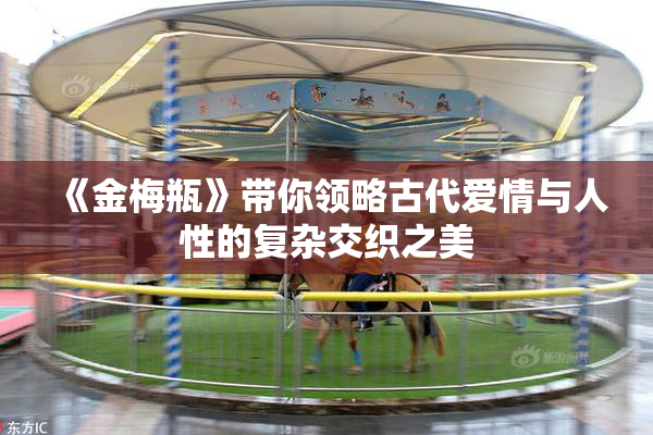 《金梅瓶》带你领略古代爱情与人性的复杂交织之美