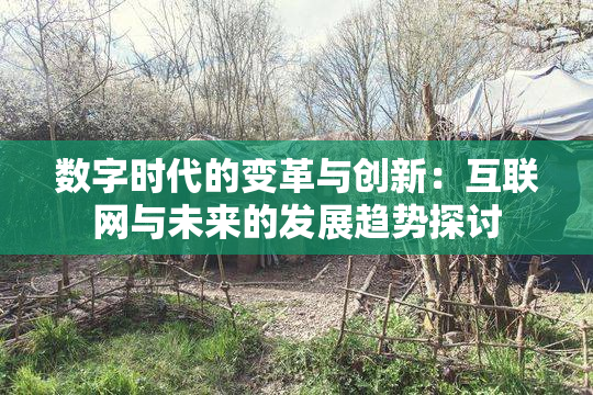 数字时代的变革与创新：互联网与未来的发展趋势探讨