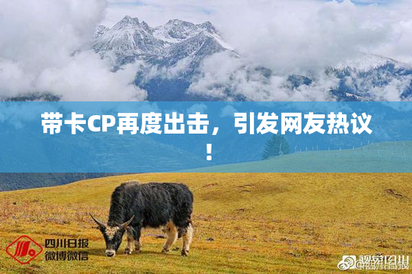 带卡CP再度出击，引发网友热议！