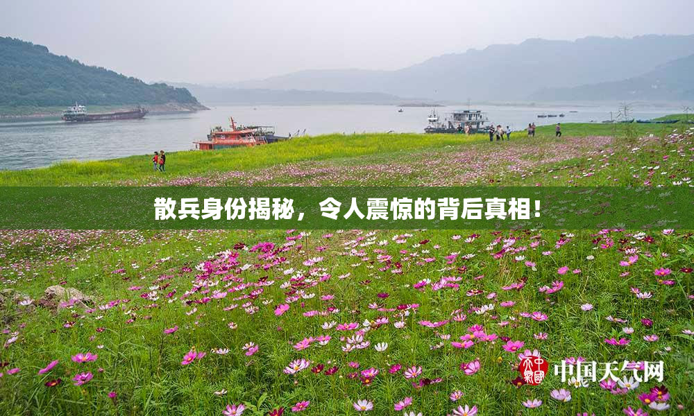 散兵身份揭秘，令人震惊的背后真相！