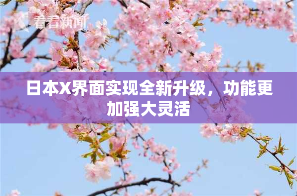 日本X界面实现全新升级，功能更加强大灵活