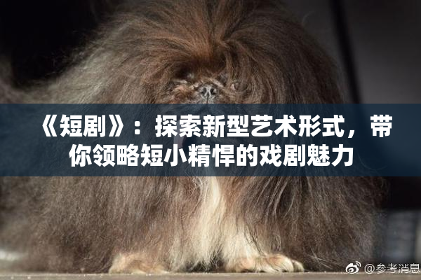 《短剧》：探索新型艺术形式，带你领略短小精悍的戏剧魅力