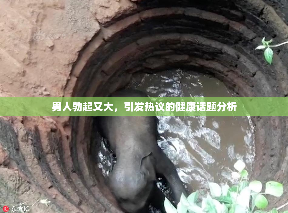 男人勃起又大，引发热议的健康话题分析