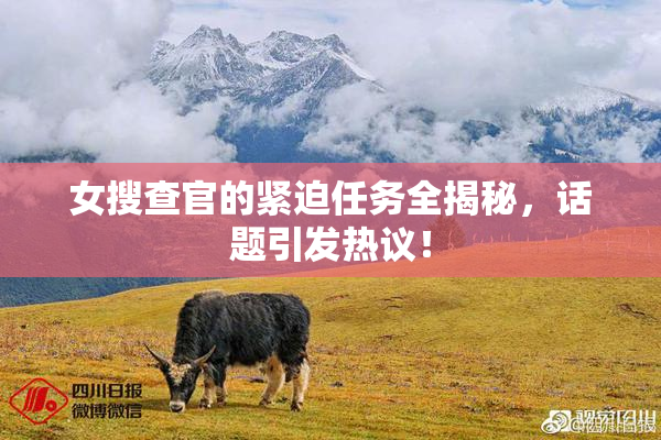女搜查官的紧迫任务全揭秘，话题引发热议！