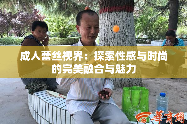成人蕾丝视界：探索性感与时尚的完美融合与魅力