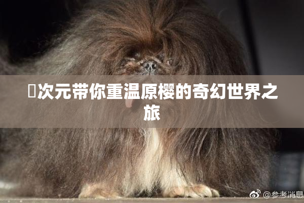 囧次元带你重温原樱的奇幻世界之旅