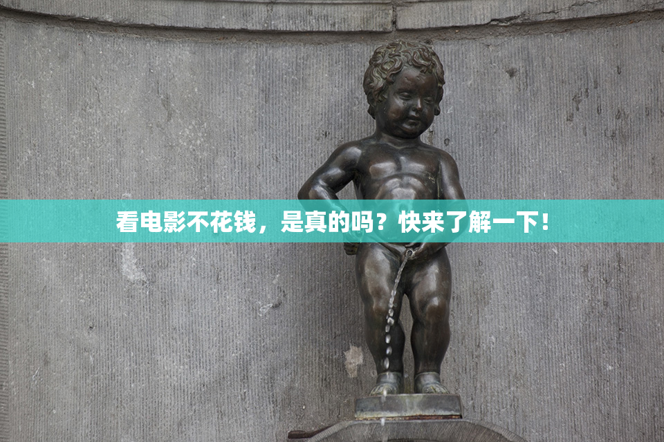 看电影不花钱，是真的吗？快来了解一下！