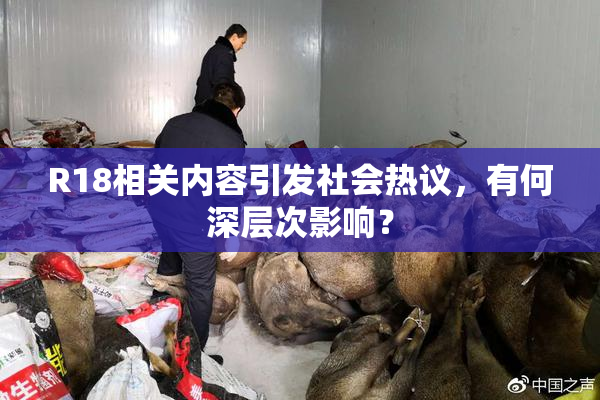 R18相关内容引发社会热议，有何深层次影响？