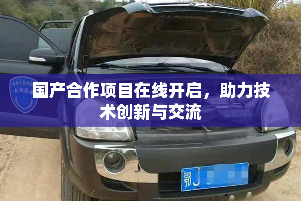国产合作项目在线开启，助力技术创新与交流