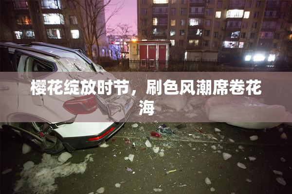 樱花绽放时节，刷色风潮席卷花海