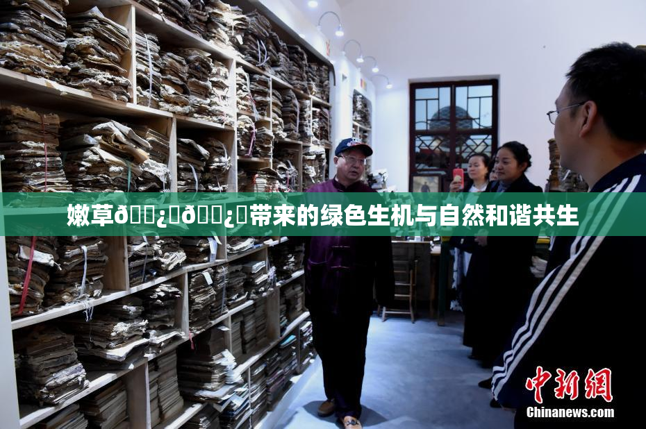 嫩草🌿‌🌿‌带来的绿色生机与自然和谐共生
