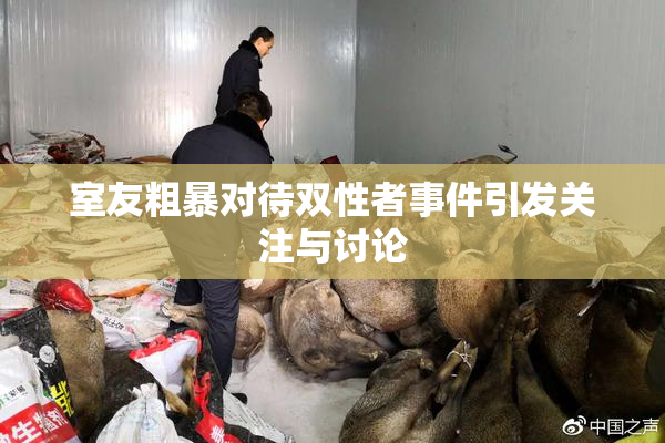 室友粗暴对待双性者事件引发关注与讨论