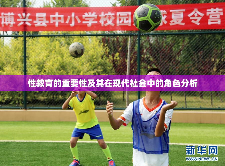 性教育的重要性及其在现代社会中的角色分析