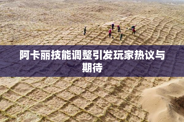 阿卡丽技能调整引发玩家热议与期待