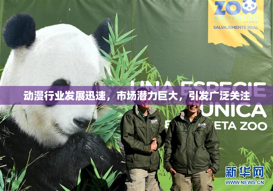 动漫行业发展迅速，市场潜力巨大，引发广泛关注