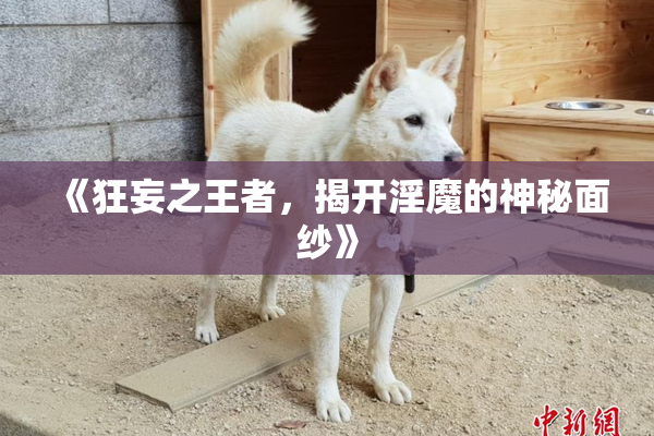 《狂妄之王者，揭开淫魔的神秘面纱》