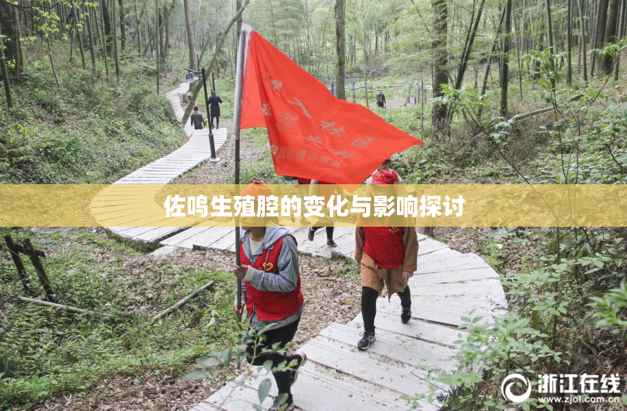 佐鸣生殖腔的变化与影响探讨