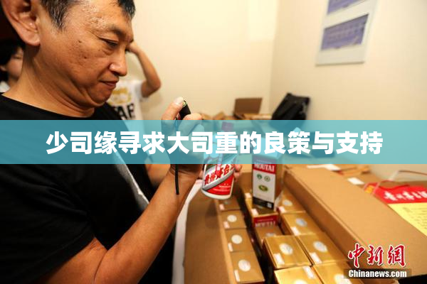 少司缘寻求大司重的良策与支持